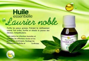 Huile essentielle Laurier Noble
