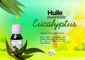Huile essentielle d'Eucalyptus