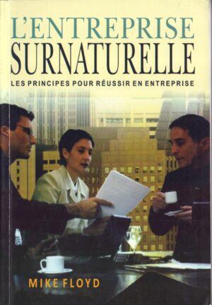 L'entreprise surnaturelle, les principes pour réussir en entreprise