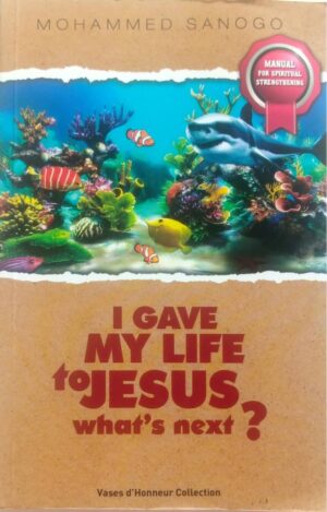 I Gave My Life To Jesus What's Next ?