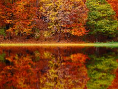 Seasonal Blessings.