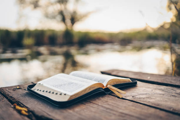 WHY I BELIEVE THE BIBLE IS TRUE (2).