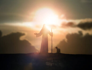 THE IMAGES OF GOD.